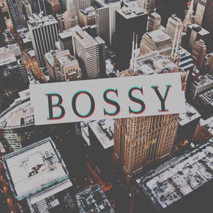 Bossy (feat. Ladi Donna, Brook J, Z baby Z killa & Ducky) (Explicit)