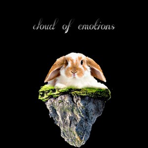 Cloud of Emotions