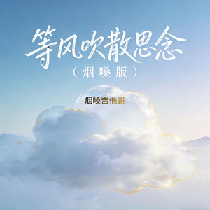 等风吹散思念 (烟嗓版)封面