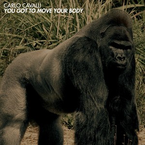 You Got To Move Your Body (Benny Camaro Remix)