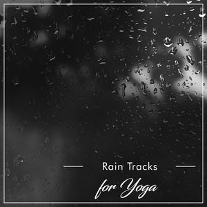 Pitter Patter in the Garden