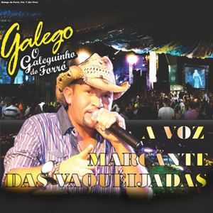 Diz pra Mim(Ao Vivo)