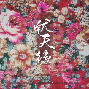 献天缘 (DJ名龙版)封面