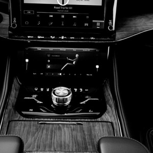 Polofif pimp (feat. Spaz ELOHEEM) (Explicit)