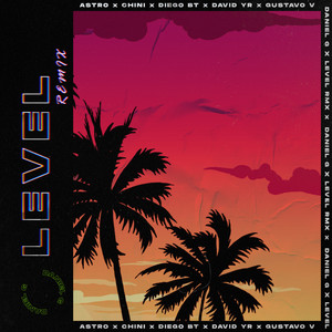 Level (Remix|Explicit)