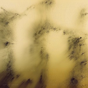 To Look Without Fear