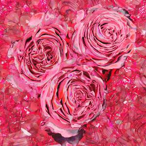 Adore (Original CF Mix)