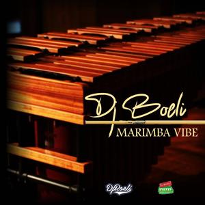 Marimba Vibe