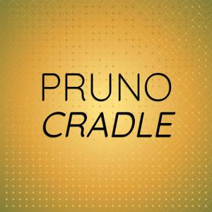 Pruno Cradle