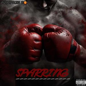 SPARRING (Explicit)