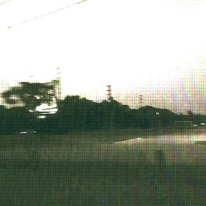 TEAR ME TO A BLOODY MESS