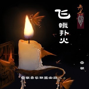 飞蛾扑火
