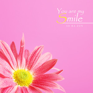 너는 나의 미소