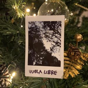 VUELA LIBRE (feat. Loyal Paruta)