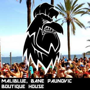 Boutique House (Original Mix)