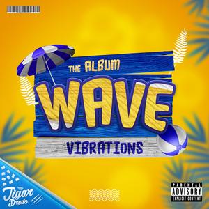 Wave Vibrations (Explicit)