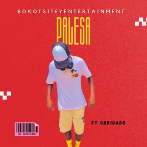 PALESA (feat. Hazzard Obrigado)