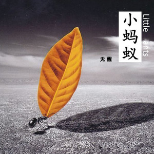 小蚂蚁 (伴奏)