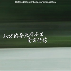 北方的春天开不出南方的花 (抒情版)