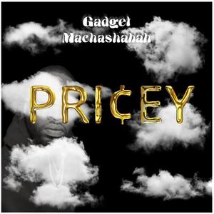 Pricey (Explicit)