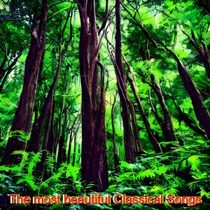 The Most Beautiful Classical Songs