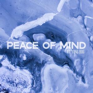 Peace of Mind (feat. Yung Bug) (Explicit)