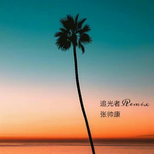 - 追光者Remix (张帅康 remix)