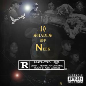 10 Shades Of Neek (Explicit)