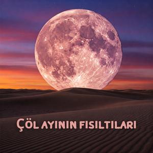 Çöl Ayının Fısıltıları