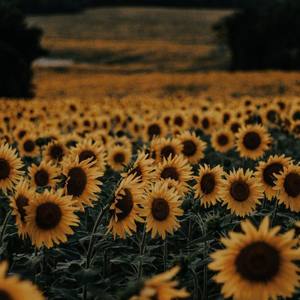 那些年你还很年轻（Prod By 蛋挞Ta）