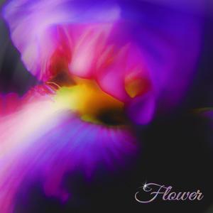 FLOWER (Explicit)