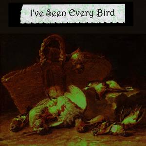 I've Seen Every Bird (Explicit)