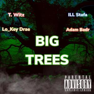 Big Trees (feat. Lo_Key Drae, ILL Stafa & Adam Badr) [Explicit]