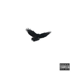 Raven (feat. Elle) [Explicit]