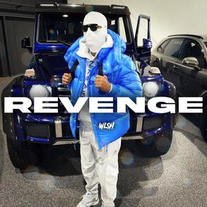 Revenge (feat. wlsh) [Explicit]