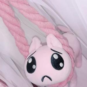 here lies i /ᐠ - ˕ -マ