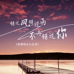 错过风错过雨不再错过你