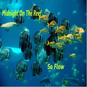 Midnight On The Reef