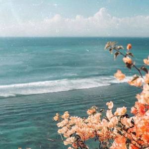 Just Vibe (Explicit)