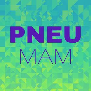 Pneu Mam