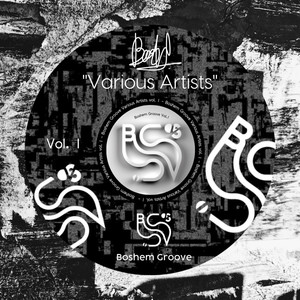 Various Artists Vol. 1