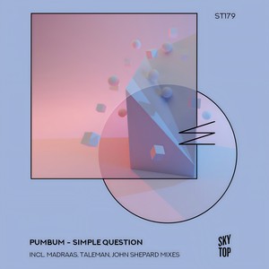 Simple Question (Taleman Radio Edit)