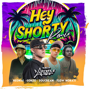 Hey Shorty (Remix)