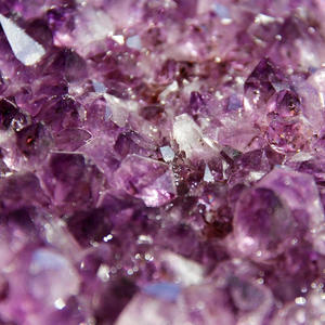 Cause I'm Not Like You