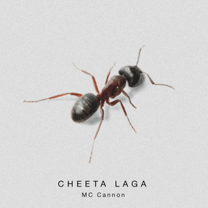 Cheeta Laga