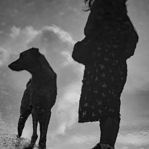 FurEver Mine (Explicit)