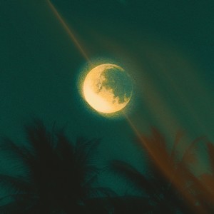 Moonlight