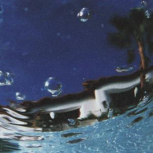 olive tree (Explicit)