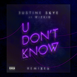 U Don't Know (Salva Remix)