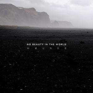 No Beauty In The World